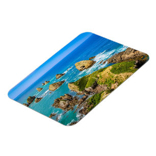 Nugget Point islets, New Zealand Magnet