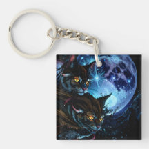 Nuit des chats