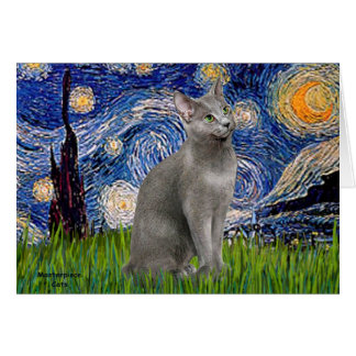 Nuit étoilée - chat bleu russe