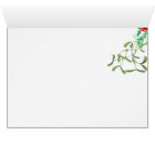 Nuit étoilée étoilée