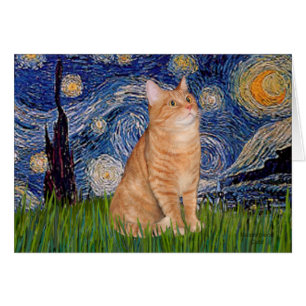 Nuit étoilée - Tabby orange 46