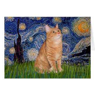 Nuit étoilée - Tabby orange 46