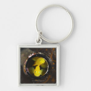 Numazu, Shizuoka Prefecture, Japan Keychain