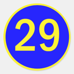 number 29 in a circle classic round sticker