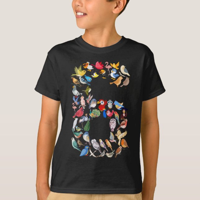 Number 6 Birds Theme 6 Year Old Boys Kids T-Shirt (Front)