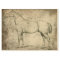 Numbered Horse