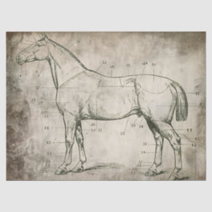 Numbered Horse Tissue Paper