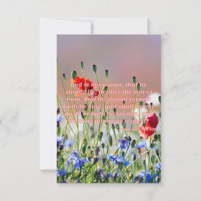 Numbers 23:19 KJV Bible Verse Pic Flat Greeting Card (Front)