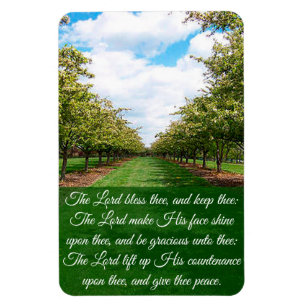 Numbers 6:24-26 postcard magnet