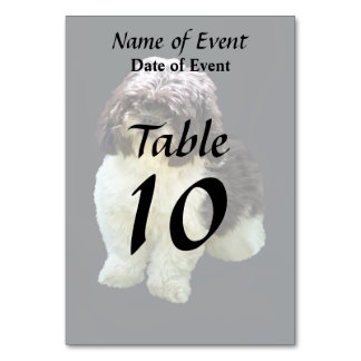 Numéro De Table Adorable Shih Tzu Puppy