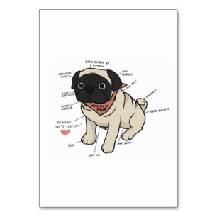 Numéro De Table Anatomie Du Chien Carlin Graphique