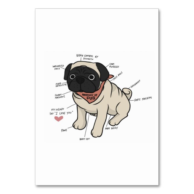 Numéro De Table Anatomie Du Chien Carlin Graphique (Par défaut)