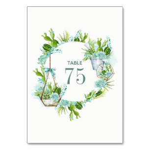 Numéro De Table Aquarelle Cactus Succulents Mariage Numéro de tabl