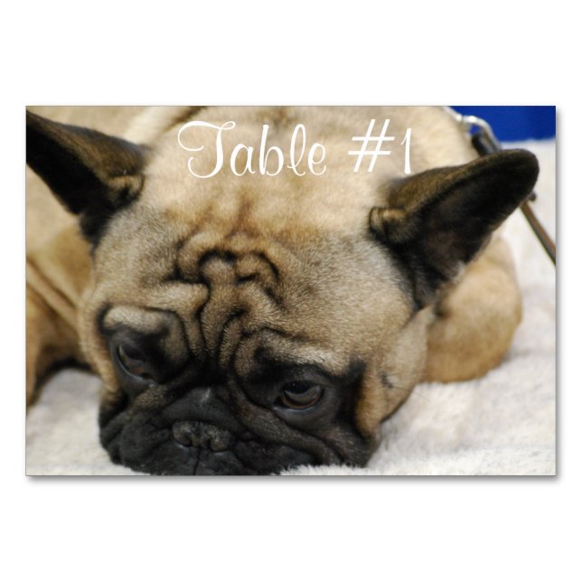 Numéro De Table Bulldogs français (Devant)