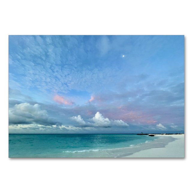 Numéro De Table Calme (Devant)