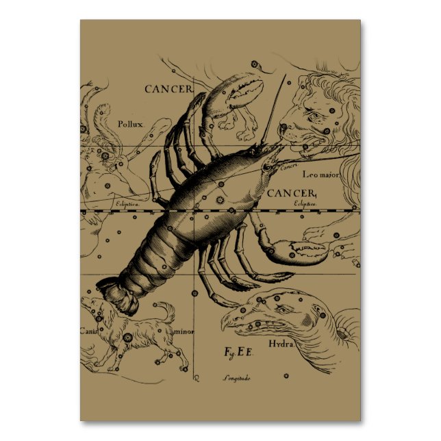 Numéro De Table Cancer Constellation Hevelius 1690 21 juin-22 juil (Par défaut)