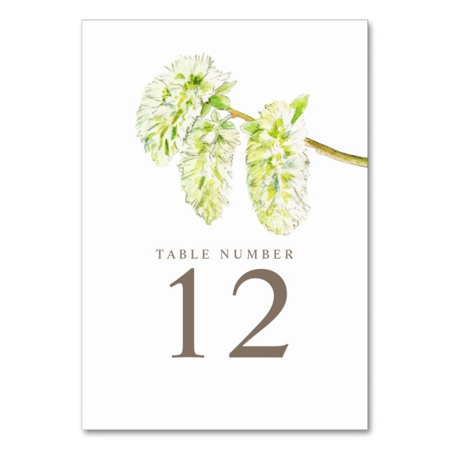 Numéro De Table Catkins de saule vert aquarelle tableau chiffres (Par défaut)