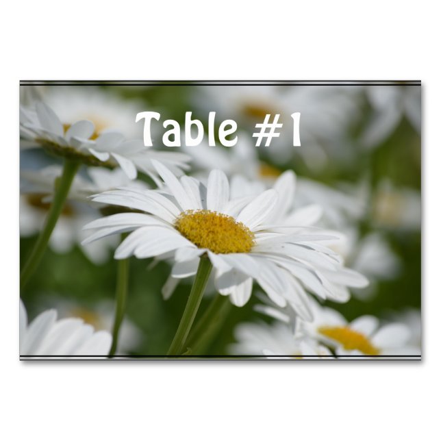 Numéro De Table Champ de marguerites (Devant)