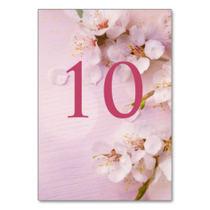 Numéro De Table Cherry Blossom Élégant Numéros De Tableau Pour Mar