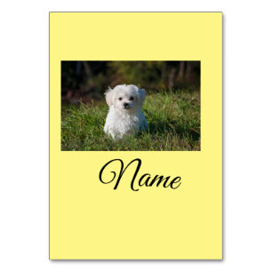 Numéro De Table Colorful animal add name photo custom throw