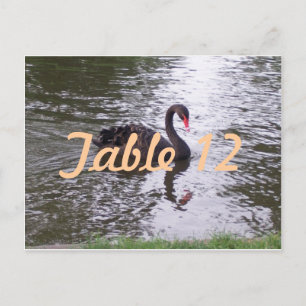 Numéro de table Cygne noir