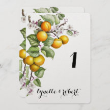 Numéro de table de mariage à l'aquarelle de fruits