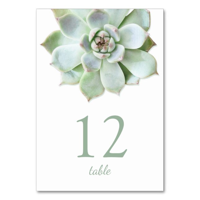 Numéro de table du Mariage moderne réussi (Par défaut)