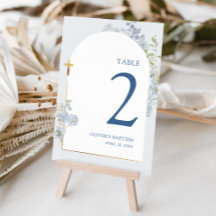 Dusty Blue Delphinium Floral Arched Boy Baptism