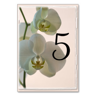 Numéro De Table Elégant Chiffres de tableau Orchidées Blanches