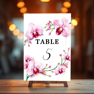 Numéro De Table Élégant élégant cadre d'orchidées roses