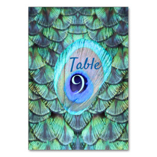 Numéro De Table Élégant Mariage de plumes de roche Turquoise et dy