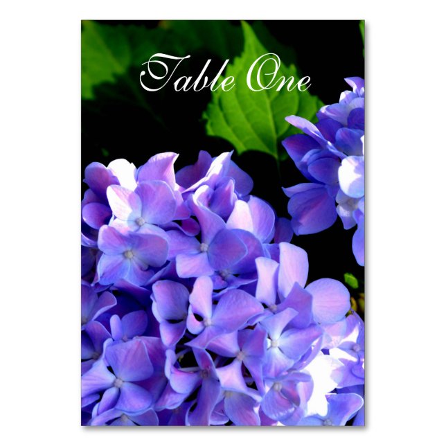 Numéro De Table Elégante florales violettes profondes perwinkle hy (Par défaut)