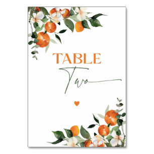 Numéro De Table Eucalyptus oranges agrumes table thématique numéro