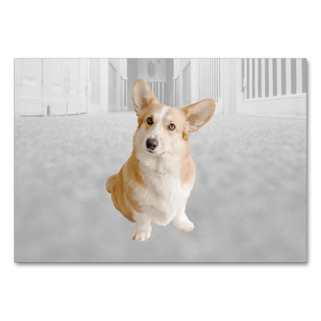 Numéro De Table Fiche signalétique de l'étiquette du chien ABA Tac (Devant)