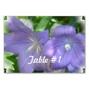 Numéro De Table Fleur de ballon