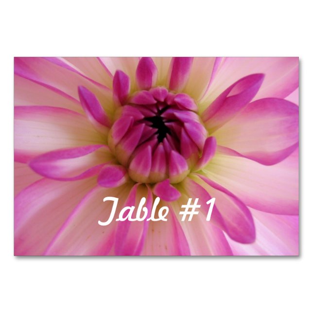Numéro De Table Fleurs Dahlia (Devant)