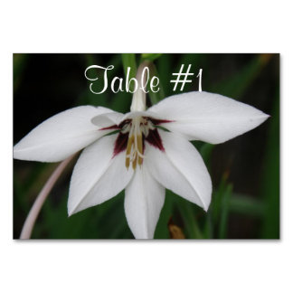 Numéro De Table Fleurs d'orchidées