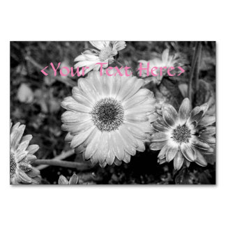 Numéro De Table Gerbera Daisy Photographie noir et blanc