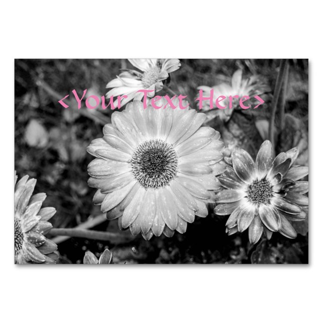 Numéro De Table Gerbera Daisy Photographie noir et blanc (Devant)