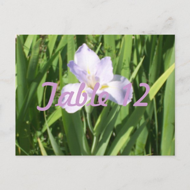 Numéro de table Iris Violet (Devant)
