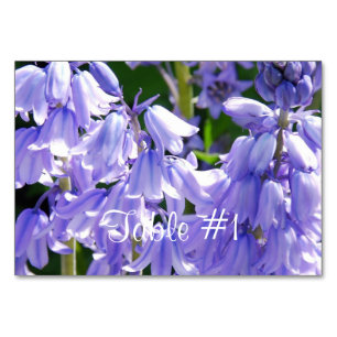 Numéro De Table Jolies fleurs Bell