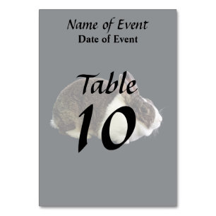 Numéro De Table Lapin néerlandais Brown et blanc