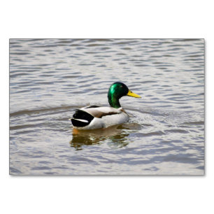 Numéro De Table Mallard Duck