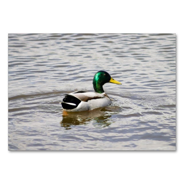 Numéro De Table Mallard Duck (Devant)