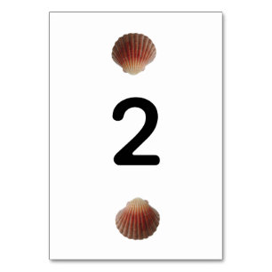 Numéro De Table Mariage Beach Seashell Clams