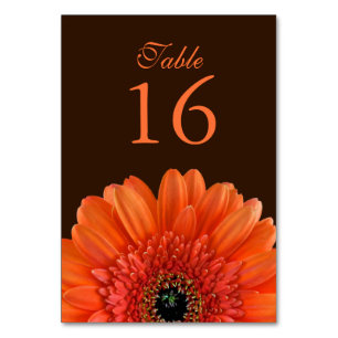 Numéro De Table Mariage Brown Orange Gerbera Daisy