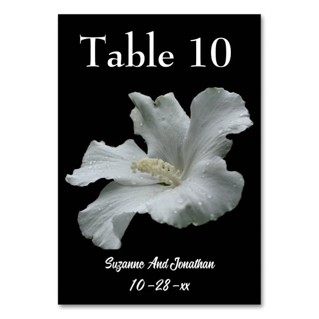 Numéro De Table Mariage de fleurs d'Hibiscus blanc (Par défaut)