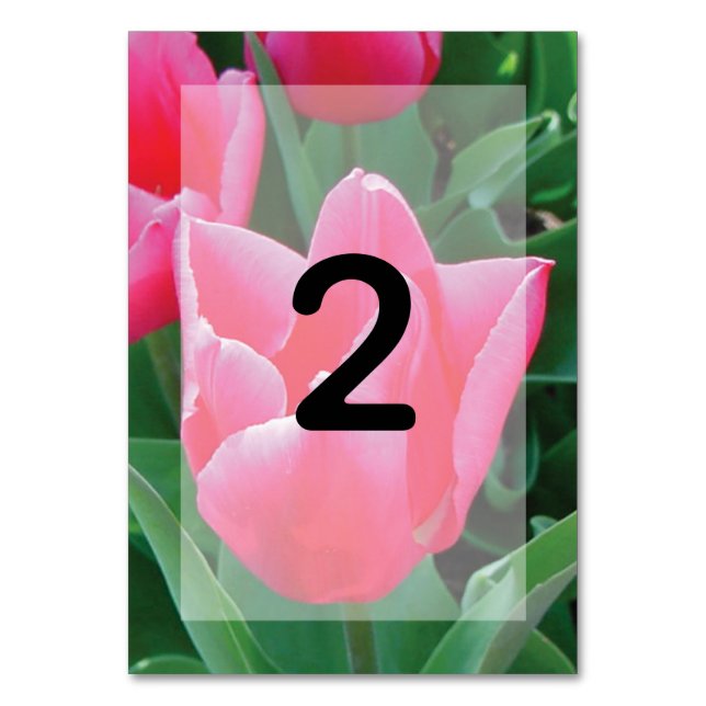 Numéro De Table Mariage élégant de tulipes roses (Dos)