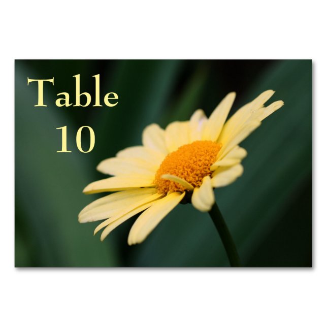 Numéro De Table Mariage Fleur de marguerite jaune (Devant)
