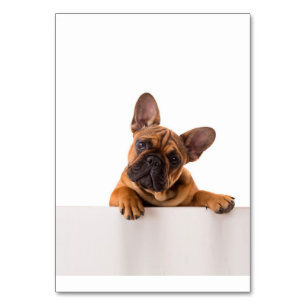 Numéro De Table mignon Bulldog   Vraiment mignon, Bulldog anglais